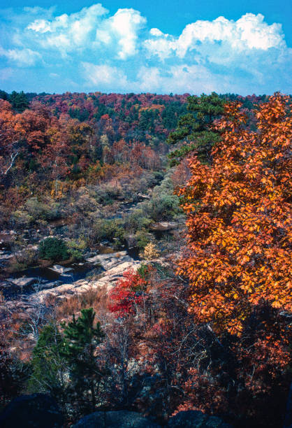 istock Silver Mines Rec Area - Autumn View Vertical - 1977 1267059373