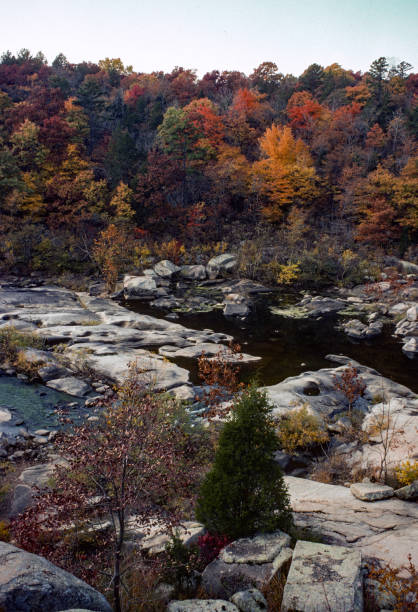 istock Silver Mines Rec Area - View Across St. Francis River Vertical - 1977 1267059918