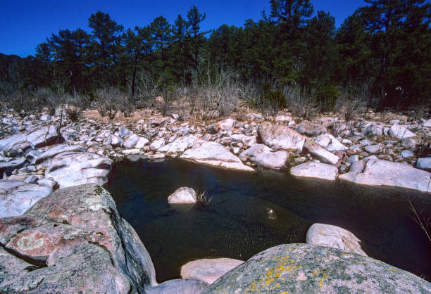 istock Silver Mines Rec Area - St. Francis River Backwaters - 2004 1267059965