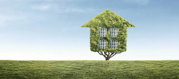 istock Eco model house , home green leaves 1267060219