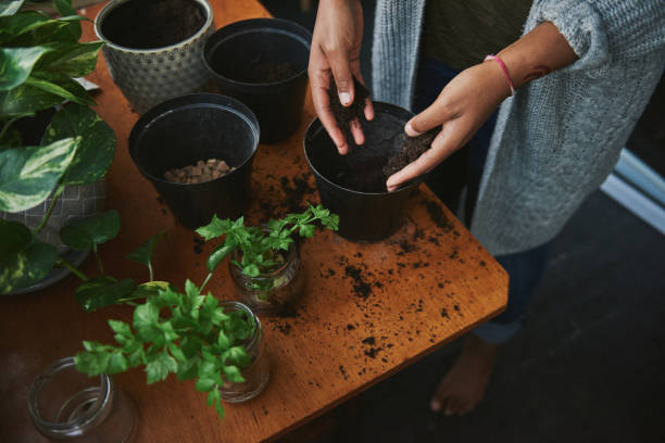 istock Give a garden the love it deserves 1267061712