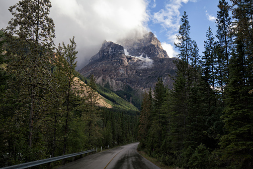 Road to the Mountains after rain in summer in Yoho National Park, BC, Canada