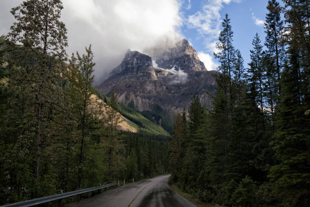 дорога в горы, национальный парк yoho, британская колумбия, канада - dirt road tranquil scene blue travel destinations стоковые фото и изображения