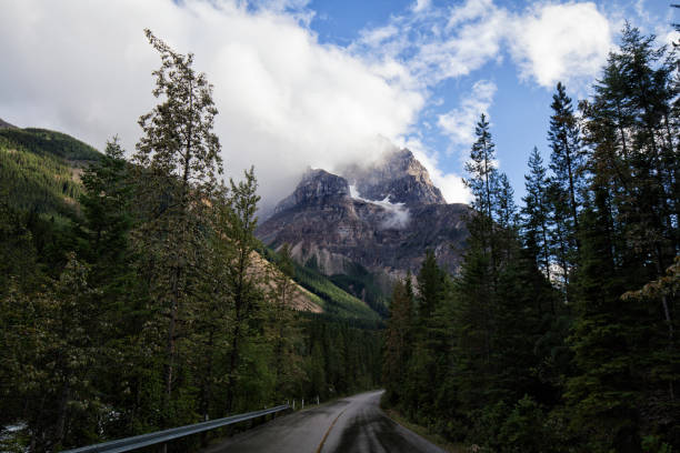 istock Road to the Mountains, Yoho National Park, BC, Canada 1267063542