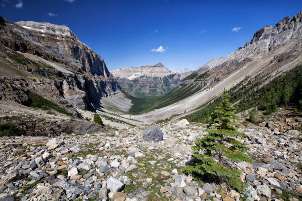 Stanley Glacier in Kootney National Park, BC, Canada