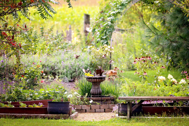 Wisconsin Birds Playing and Bathing in Backyard Garden Water Fountain stock photo