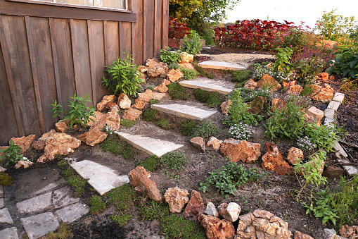 A curving set of rocky and stone slab garden steps are leading between a wood cottage shed and a flower and herb garden.