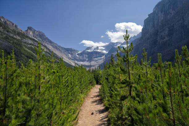 istock Stanley Glacier in Kootney National Park, BC, Canada 1267070687