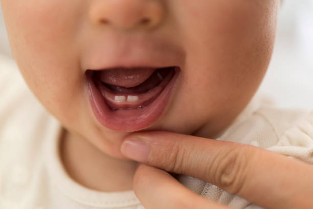 Newborn baby teeth of 0 year old Newborn baby teeth of 0 year old baby teeth stock pictures, royalty-free photos & images