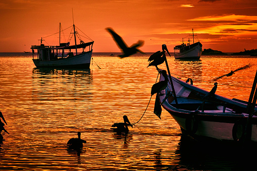 Sunset at a Caribbean island with fishermen's boats and tropical birds. Juan Griego, Margarita Island, Venezuela