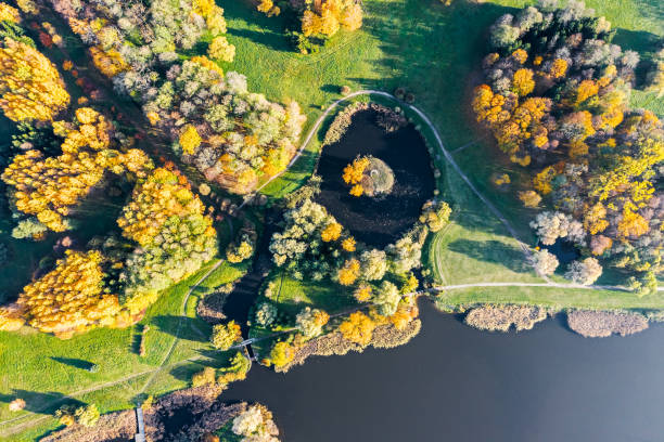 осенний живописный парк пейзаж с небольшим прудом - coastline aerial view forest pond стоковые фото и изображения