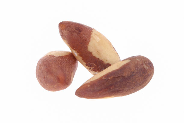 istock Brazil nuts isolated on white background closeup. Full depth of field 1267076381