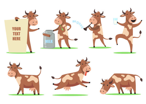 Funny cartoon cow set Funny cartoon cow set. Cute smiling animal character in different action, happy cow dancing with glass of milk, chewing grass, having fun. For farm animal, dairy, humor concept cow stock illustrations