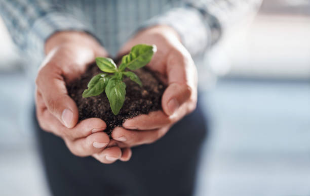 istock Growing a profitable and flourishing business 1267079210
