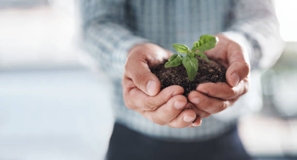 istock What you nurture will grow 1267079212