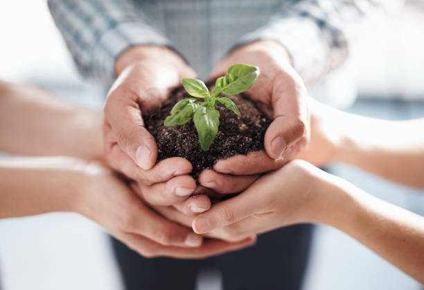 istock Growing a business with the support of all 1267079837