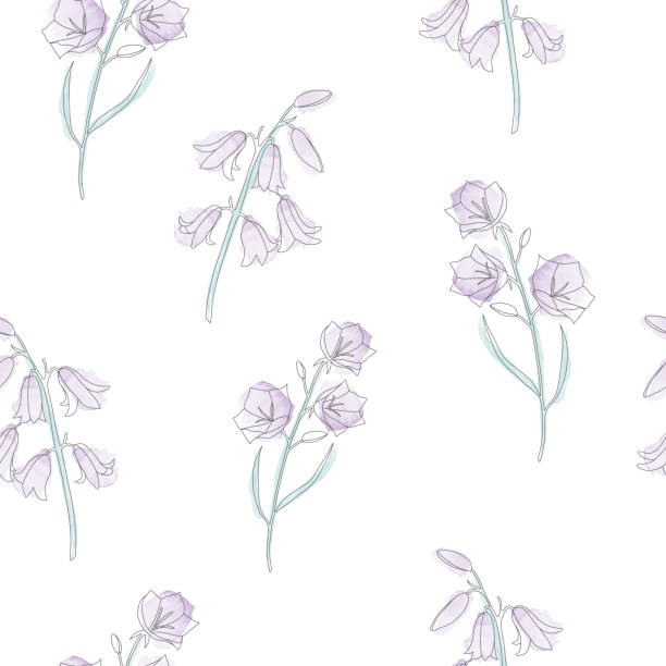 Vector seamless pattern with watercolour purple campanulas Vector seamless pattern with watercolour purple campanulas. White background campanula stock illustrations