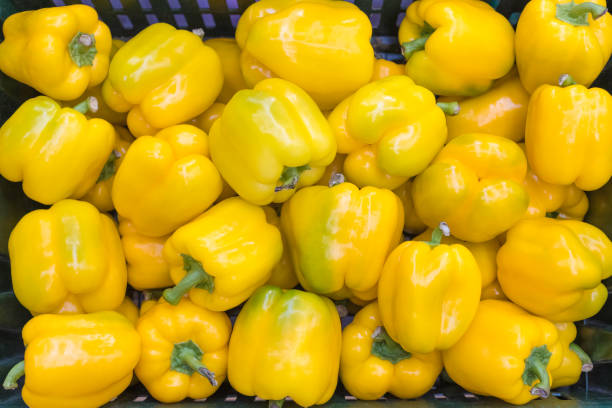 pimentões amarelos naturais no mercado são embalados em uma caixa. veja de cima. - pepper bell pepper market spice - fotografias e filmes do acervo