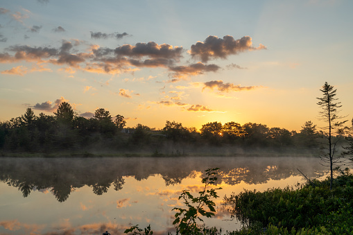 Dusk on Cane Creek a tributary of Lake Dardanell, AR.