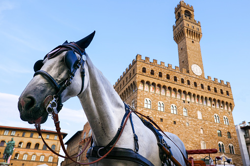 Florence, Italy -- A tourist carriage is parked in the center of Piazza della Signoria, in front of Palazzo Vecchio, in the heart of Florence. Image in High Definition format.