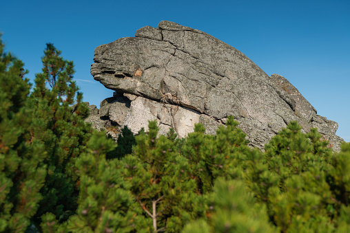 Hikings along tourist trails in the Karkonosze Mountain national park in Poland with the backpack on the back. Rock formation Horse's Heads