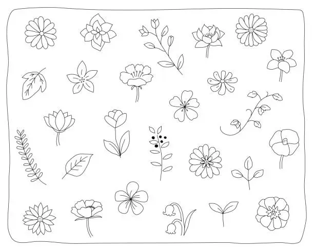 Vector illustration of Set of hand drawn illustrations of flowers and leaves