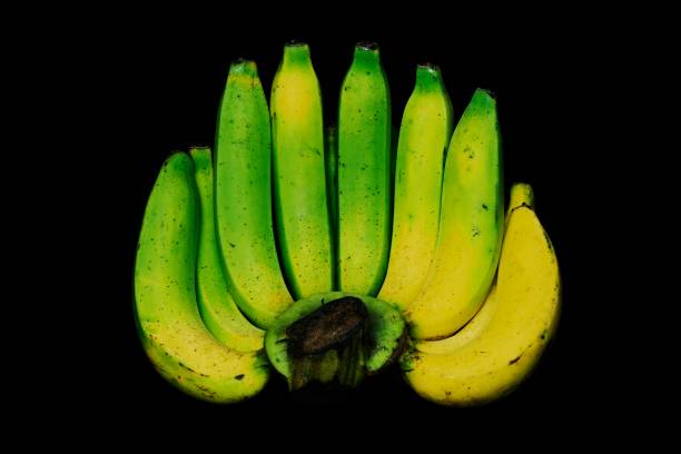 Closed up Green banana turning yellow ripe.
