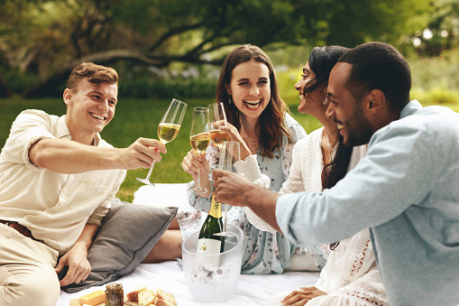 Multi-ethnic friends clinking champagne glasses while sitting at park. Friends celebrating with champagne at the picnic.