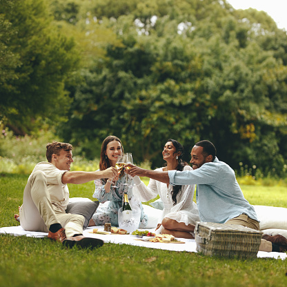 Young people toasting champagne while on a picnic. Young group of friends sitting at park and having champagne.