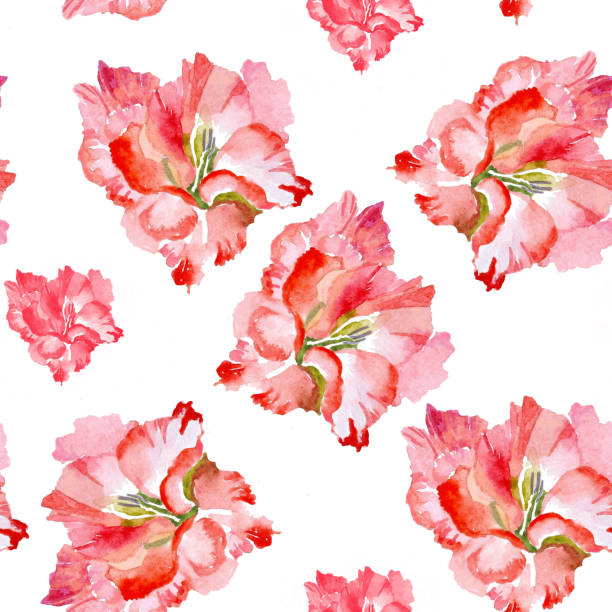 illustrations, cliparts, dessins animés et icônes de fleurs de gladiolus d’aquarelle sur le modèle sans couture blanc. - gladiolus flower beauty in nature white background