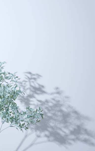 istock Sunbeams and light shining on white background 1267103468