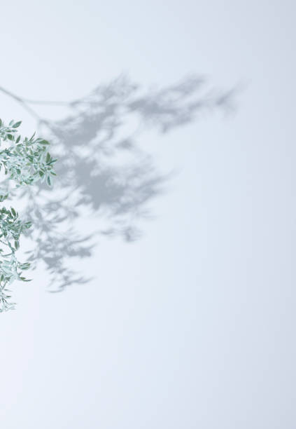 Sunbeams and light shining on white background