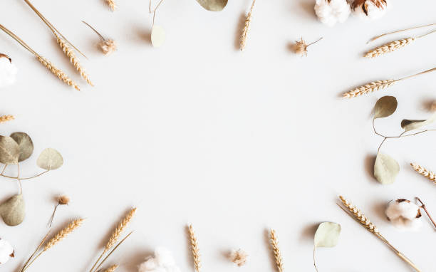 istock Autumn composition. Dried leaves, flowers on white background. Autumn, fall, thanksgiving day concept. Flat lay, top view 1267104591