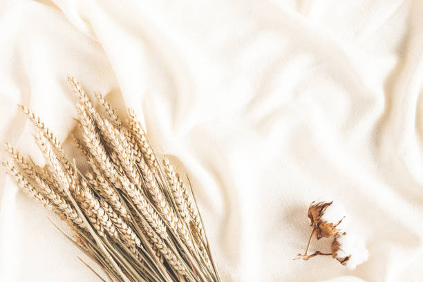 istock Autumn composition. Spica ears, cotton flowers, plaid on white background. Autumn, fall concept. Flat lay, top view 1267104598