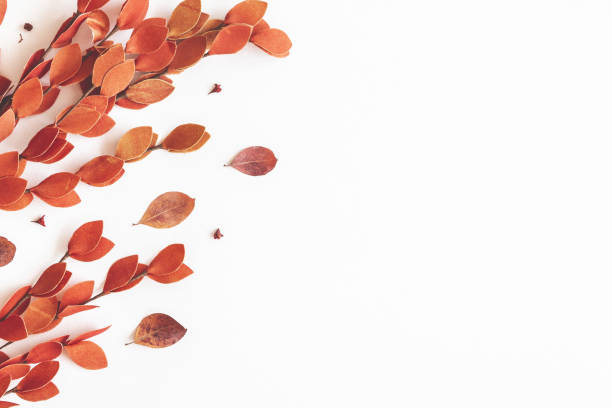 istock Autumn composition. Red leaves on white background. Autumn, fall, thanksgiving day concept. Flat lay, top view 1267104617