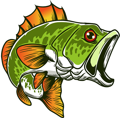 Illustration of bass fish. Big perch. Perch fishing. Design element for emblem, sign, poster, card, banner. Vector illustration