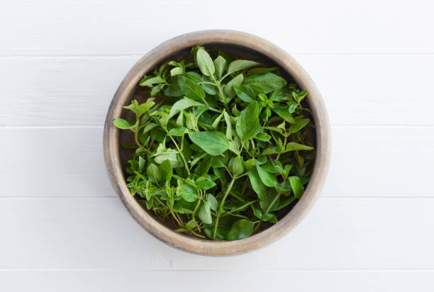 folhas frescas e raminhos de orégano em uma tigela de madeira - herb garden healthy eating freshness marjoram - fotografias e filmes do acervo