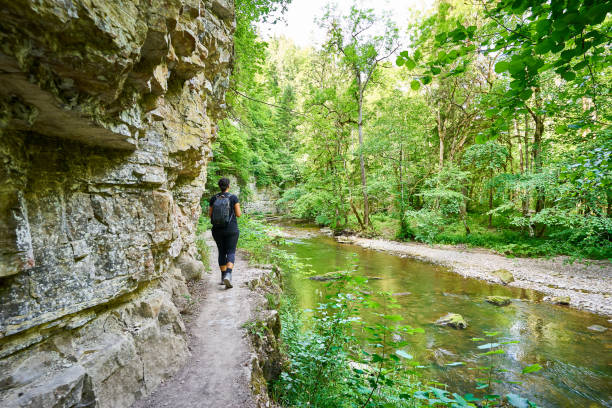 istock Hiking in the Canyon 