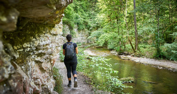 istock Hiking in the Canyon 