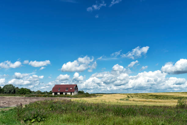 istock a small old house in the distance on a field 1267108247