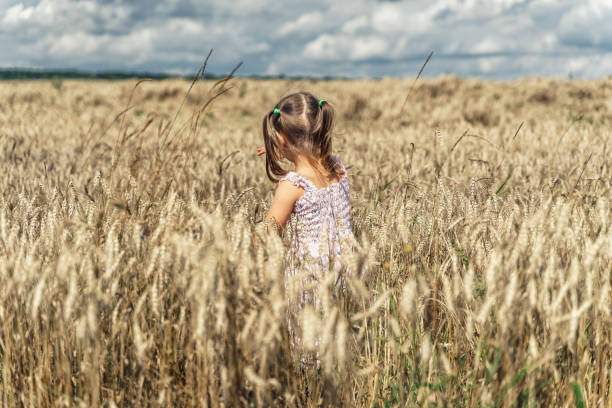 istock little girl in a barley field 1267108256