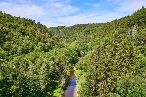 Hiking in the Canyon 