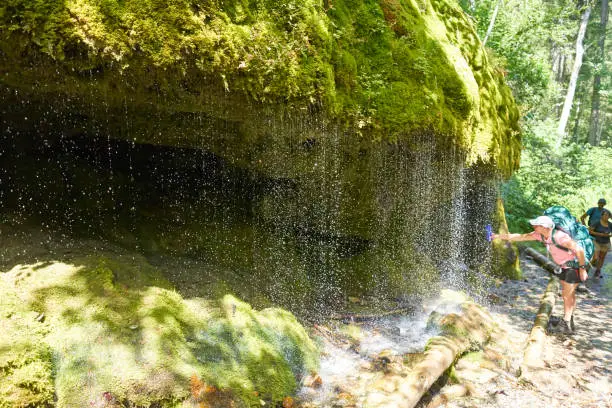 Photo of Waterfall flowing over a mossy rock with cave behind