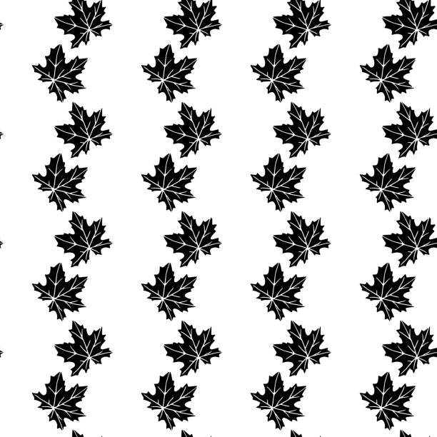Seamless pattern with black silhouette maple leaves isolated on white background. Vector texture for fabric, invitations, home textiles, plant ornament in decoration Seamless pattern with black silhouette maple leaves isolated on white background. Vector texture for fabric, invitations, home textiles, plant ornament in decoration. silhouette of a fall leaves black and white stock illustrations