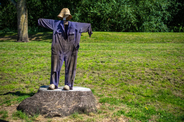 scarecrow wearing a hat and a  Boilersuit on remains of an old tree in public park