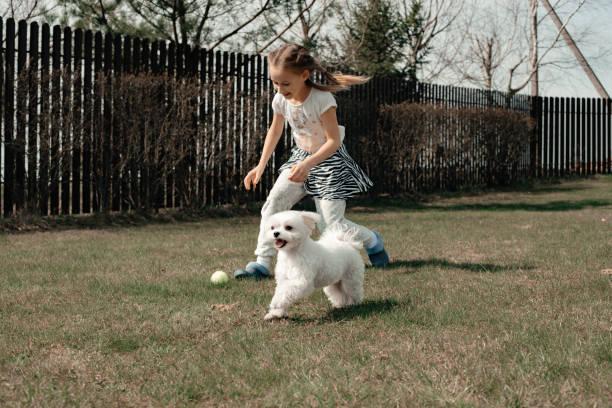 istock A child runs on the grass with a dog. 1267115483