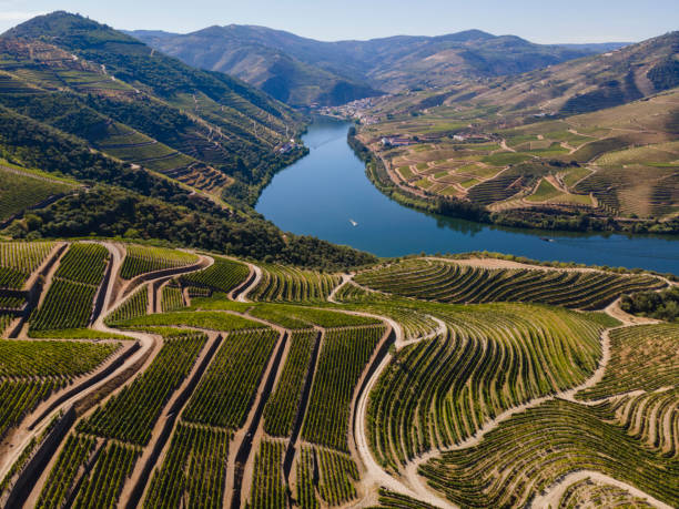 údolí douro poblíž pinhão - údolí - stock snímky, obrázky a fotky