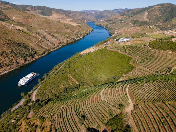 istock Douro Valley From the Viewpoint of S. Leonardo da Galafura 1267115667