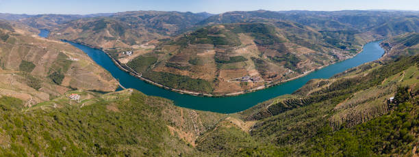 valle del duero desde el mirador de s. leonardo da galafura - portugal port wine porto the douro fotografías e imágenes de stock