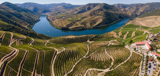 valle del duero cerca de pinháo - portugal port wine porto the douro fotografías e imágenes de stock